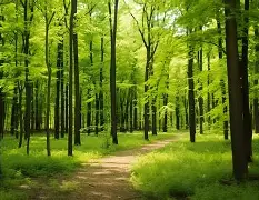 爱游戏官方入口-峰度控股骆国峰